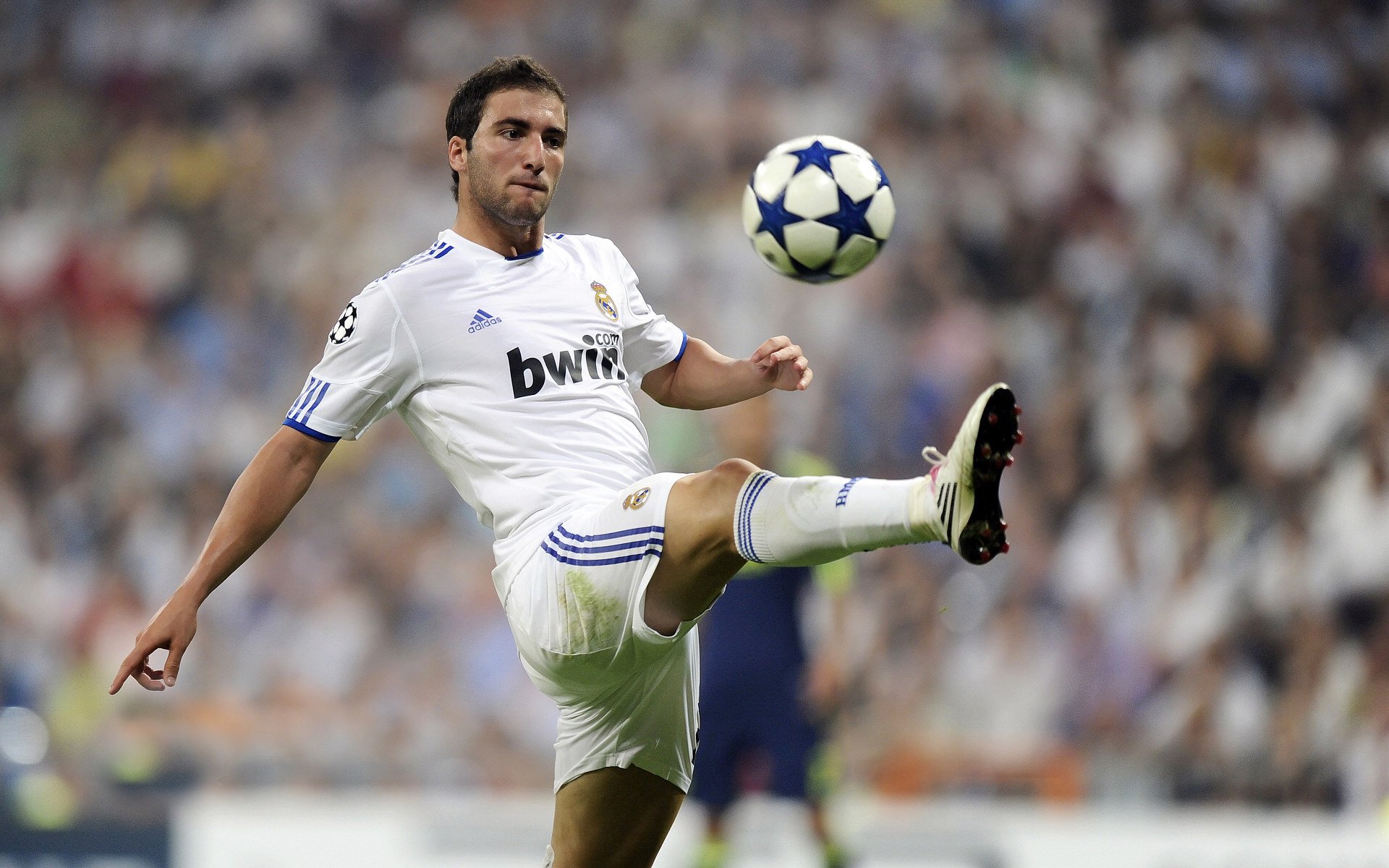 九游体育官网入口-中国足球职业联赛推动多元身份球迷参与权利,中国足球的球迷们